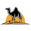 
Camel urine has demonstrated antifungal properties in scientific studies.